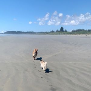 Meet your Posher, Marissa